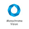 Monochrome Vision专辑