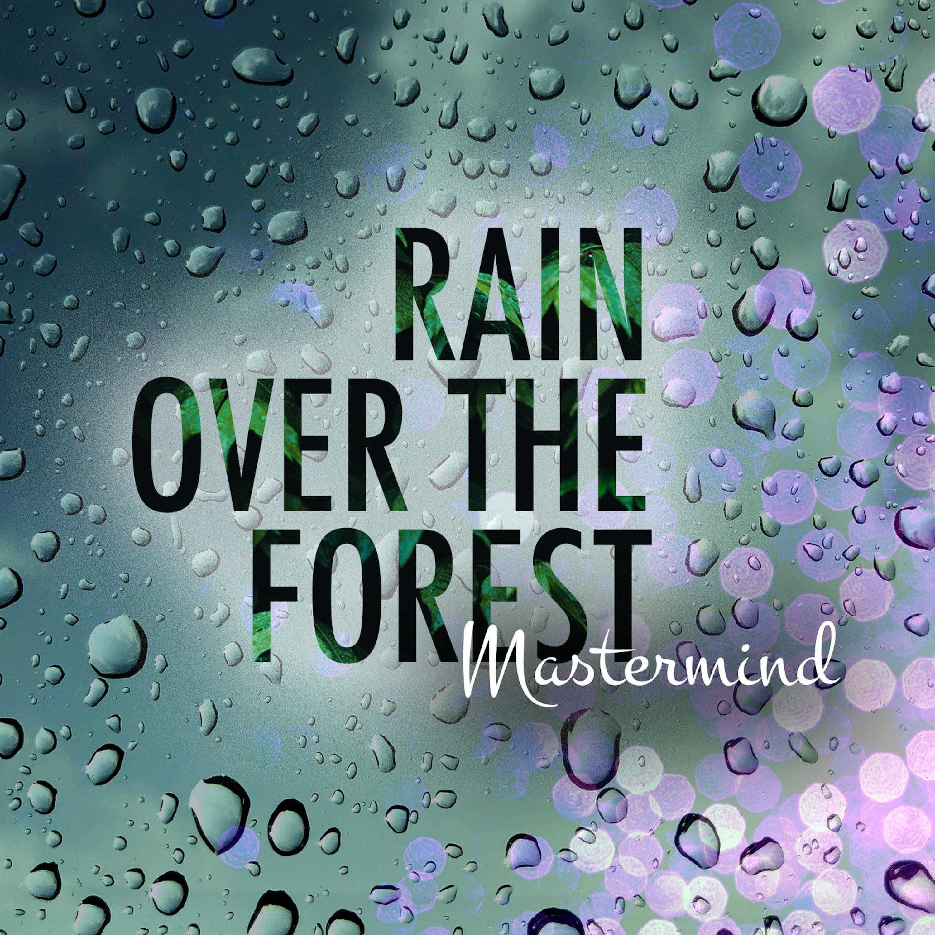 Rain Over the Forest