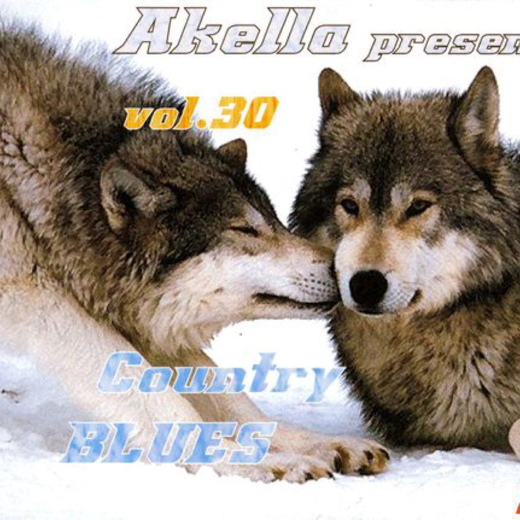 Волк Акелла. Akella presents - Vol. 95. Va - Akella presents - Modern Electric Blues - Vol.3 (2013). FLAC download va - Akella presents - Modern Electric Blues - Vol.3 (2013).