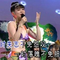 泳装12大美女（金碟豹）