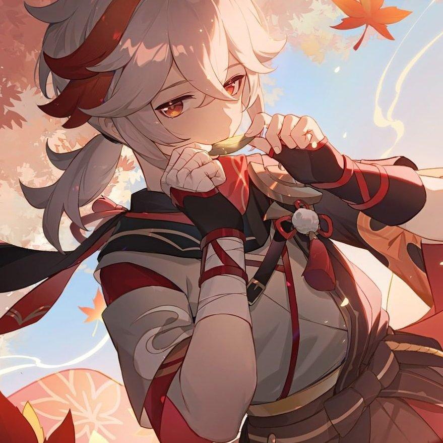 原神爆肝抽奖肝探索度必备