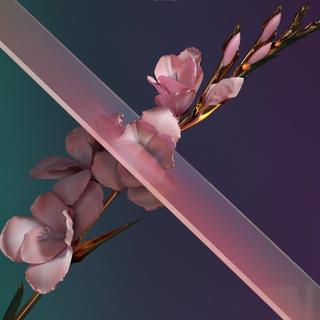 「电音」奇幻跳跃的清新旋律