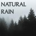 15 Natural Rain Sounds专辑