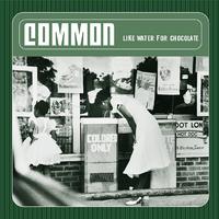 6th Sense - Common ft  DJ Premier