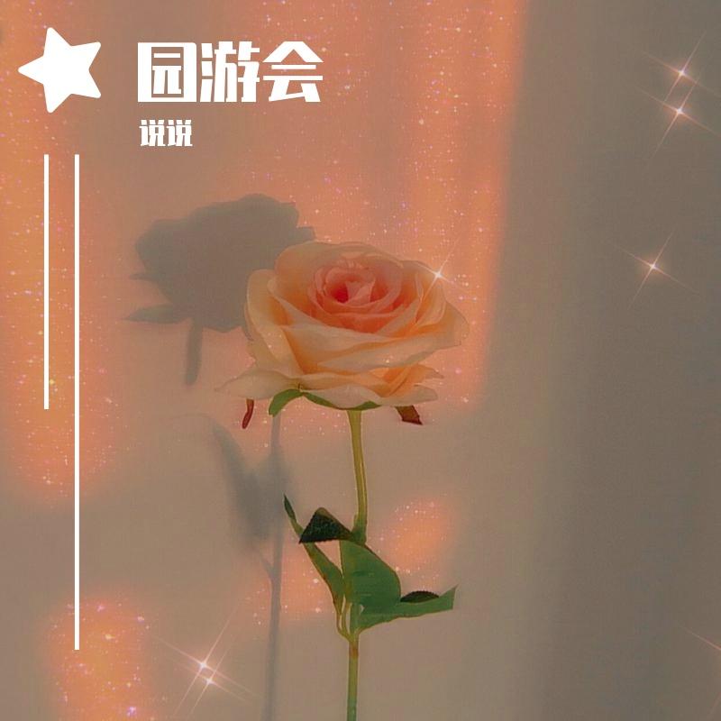 园游会