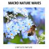 Wave of Bliss Ocean Music - Outside Rain Light Sound