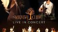 Live In Concert专辑