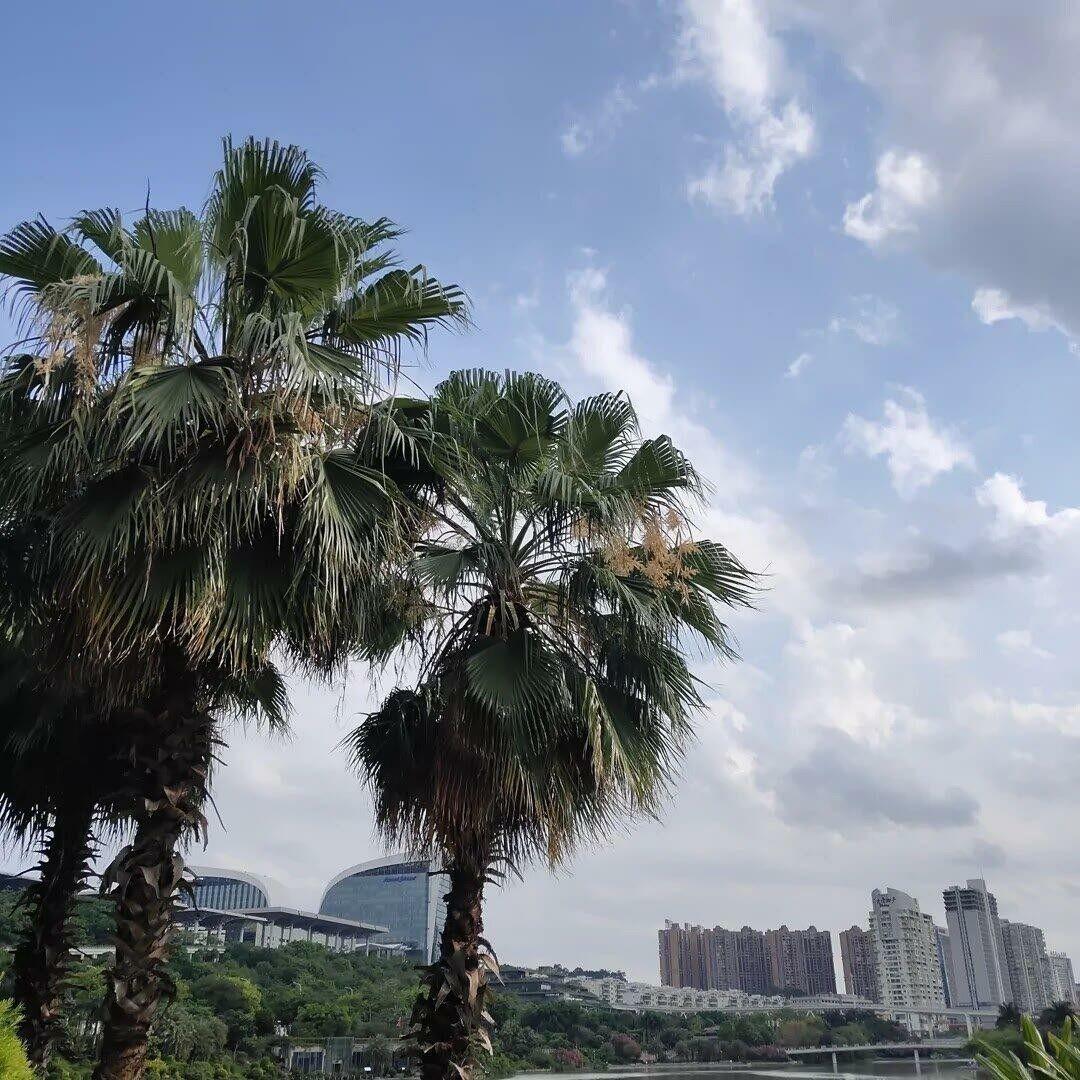 Xin Düng Nhâc Máy (770)