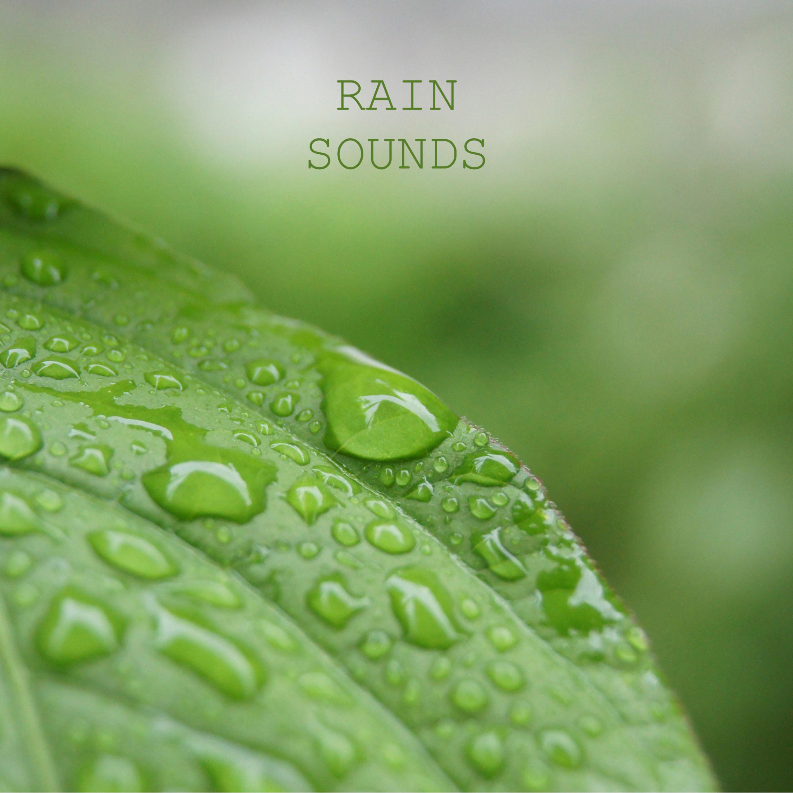 Rain Sounds专辑