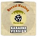 Sexual Healing (In the Style of Marvin Gaye) [Karaoke Version] - Single
