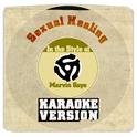 Sexual Healing (In the Style of Marvin Gaye) [Karaoke Version] - Single专辑