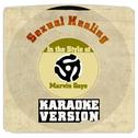 Sexual Healing (In the Style of Marvin Gaye) [Karaoke Version] - Single专辑