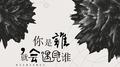 你是谁，就会遇见谁专辑