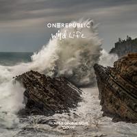 OneRepublic (One Republic) - Wild Life (karaoke) 带和声伴奏