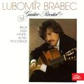 Lubomír Brabe: Guitar Recital