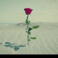 desert
