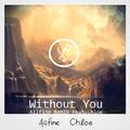Without You Feat.Chloe (Allfine Bootleg）