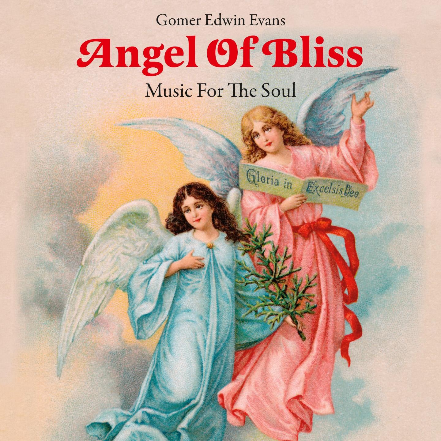 Angel of Bliss: Music for the Soul专辑