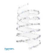 human..その繰り返し专辑