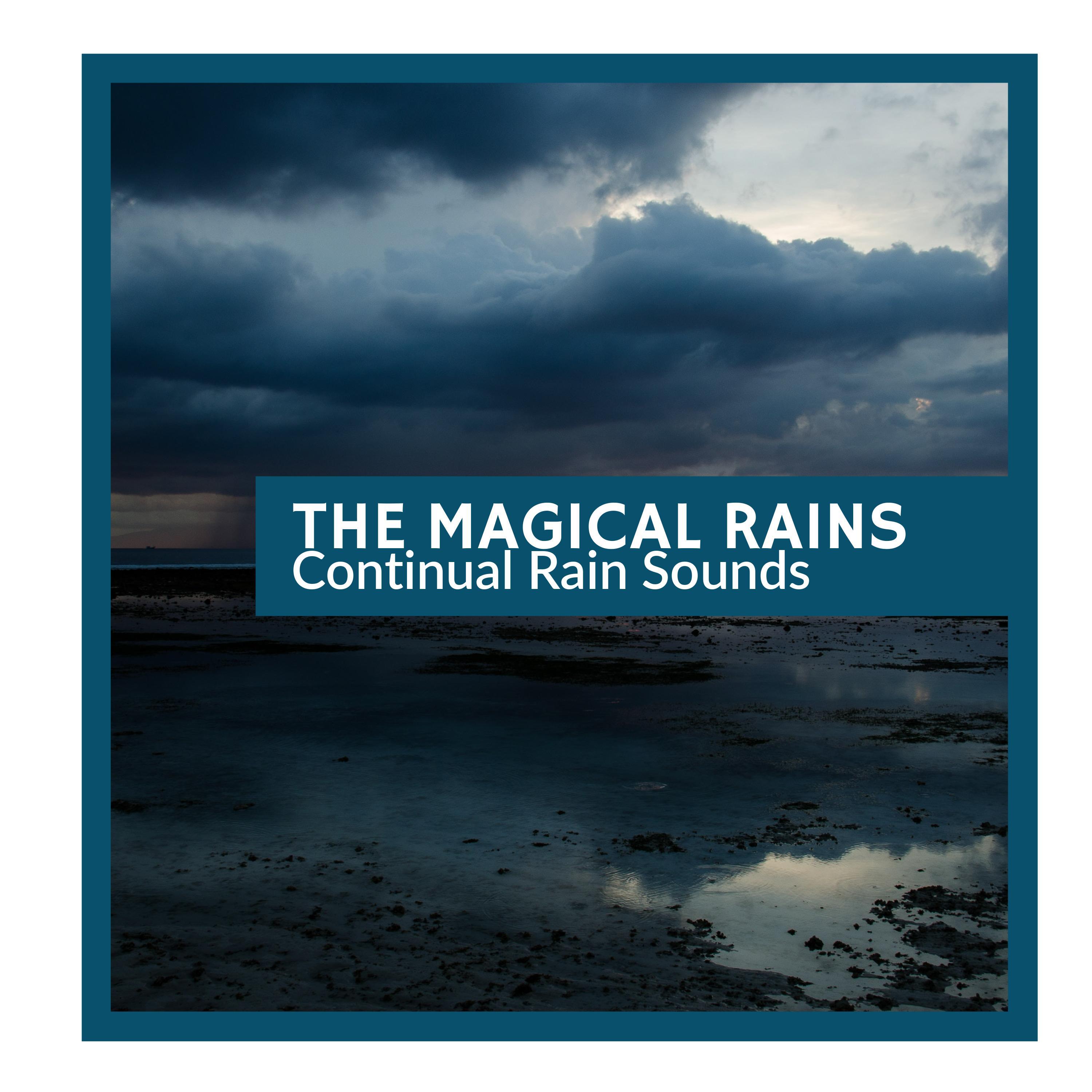 Forest Rain Music Studio - Drowsy Soft Rain