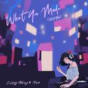 What You Made (2023 Mix)专辑