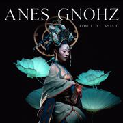 Anes Gnohz