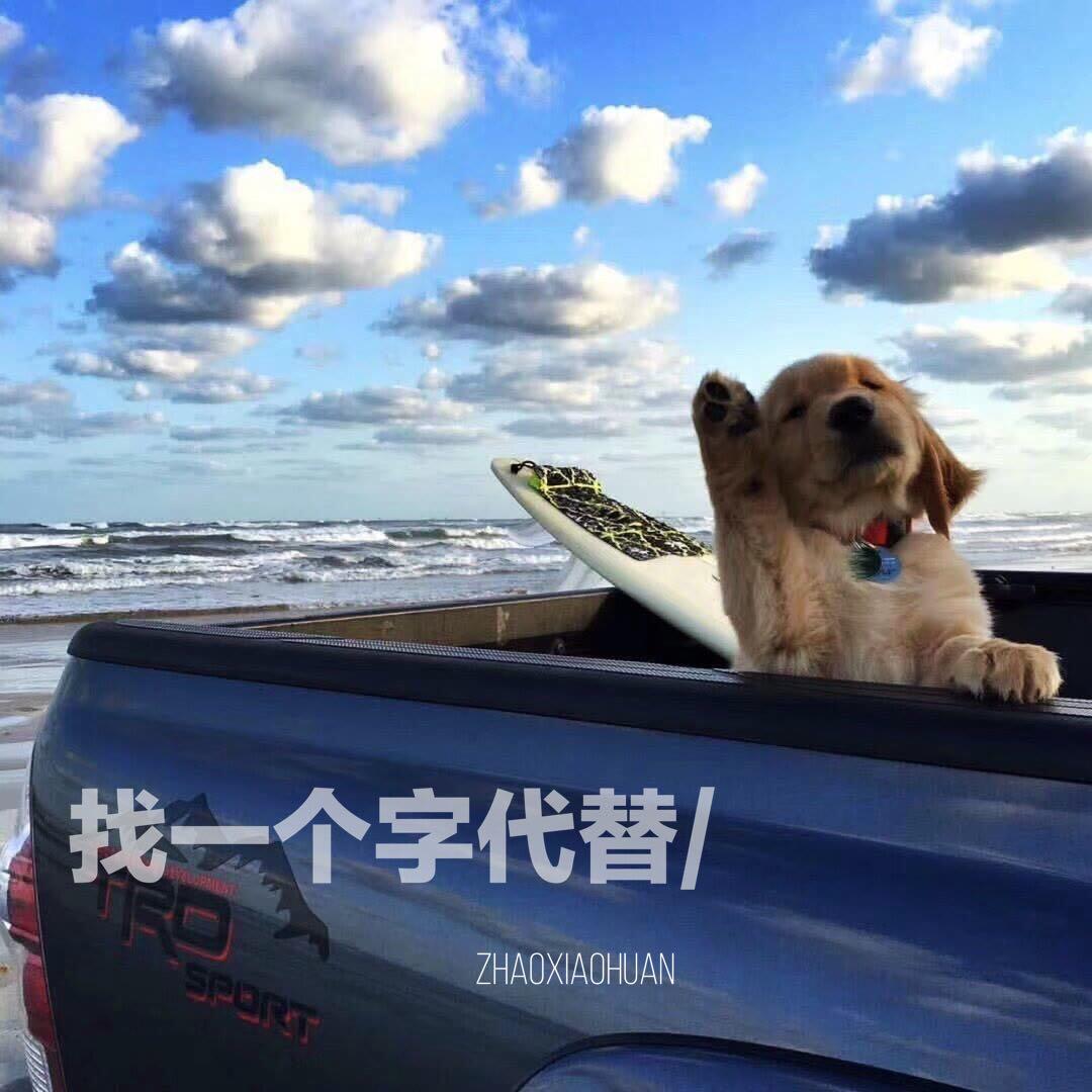 找一个字代替