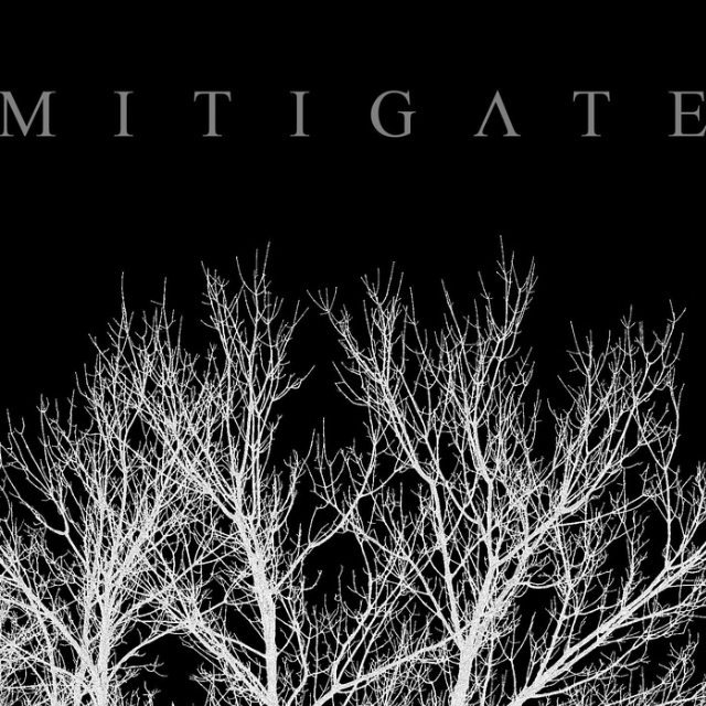 The Witness