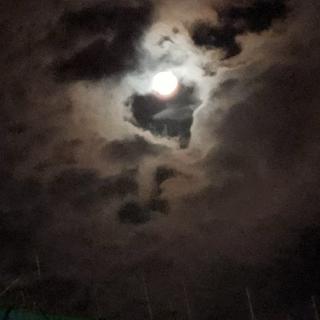 下次不会啦对不起