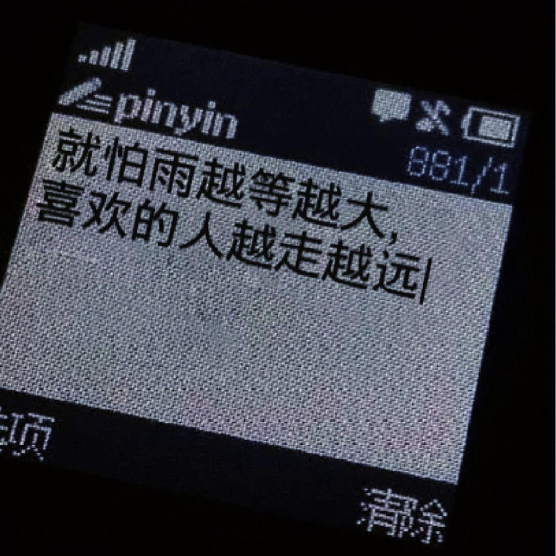 懒芜歌曲封面