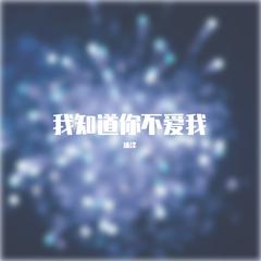 我知道你不爱我(抖音DJ版)