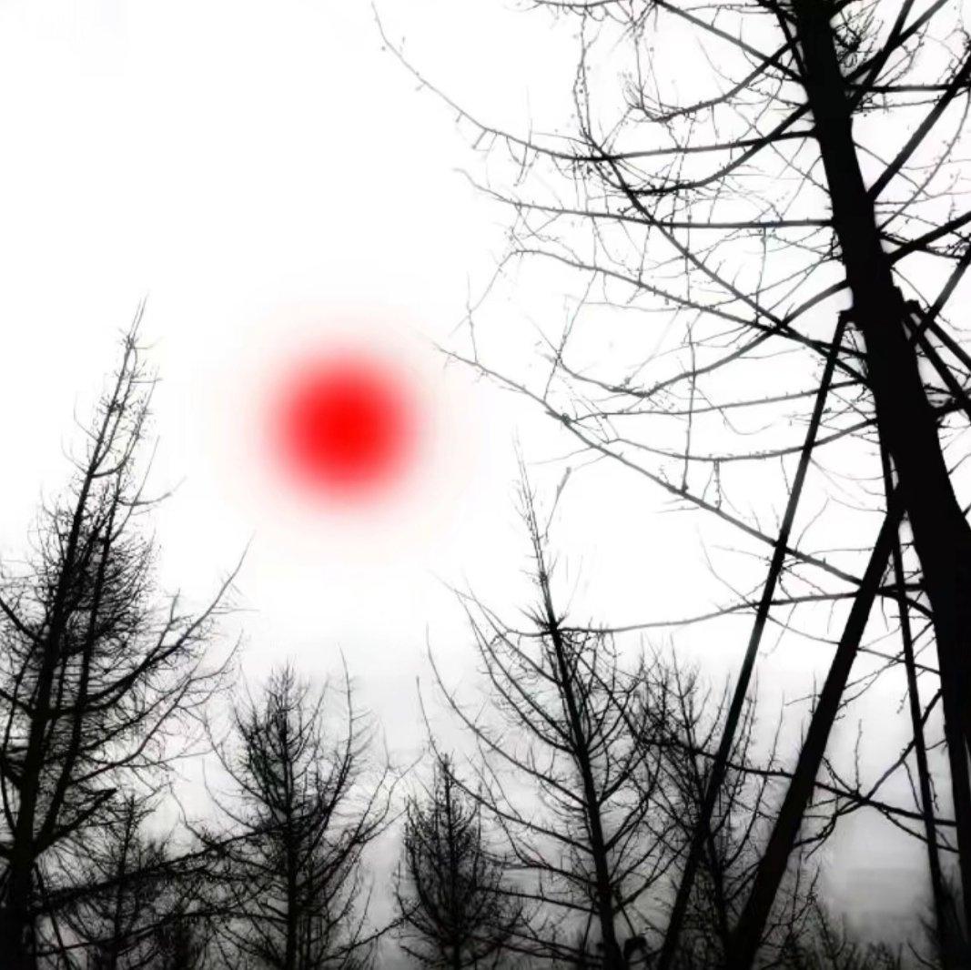 朴彩英only look at me  Rose