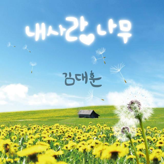 내 사랑나무
