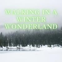 Walking In A Winter Wonderl - Bob Clay (guitar Instrumental)