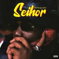 DarkoVibes - Seihor (Sped Up)