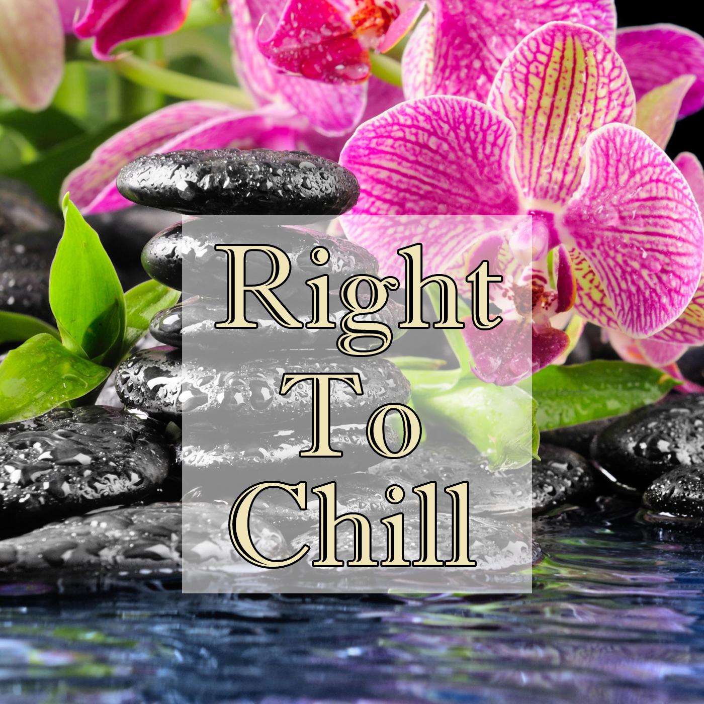 Right To Chill, Vol.2专辑