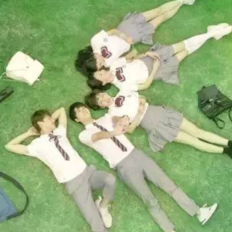 追剧竟然90%因为这些郎朗上口的插曲？