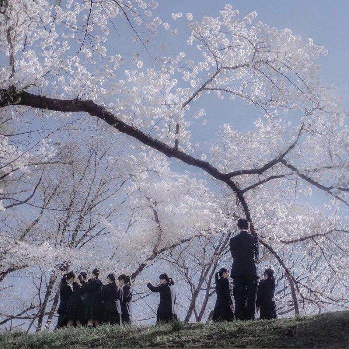 海 盐 羅 西 ❶❾❼ⓞ