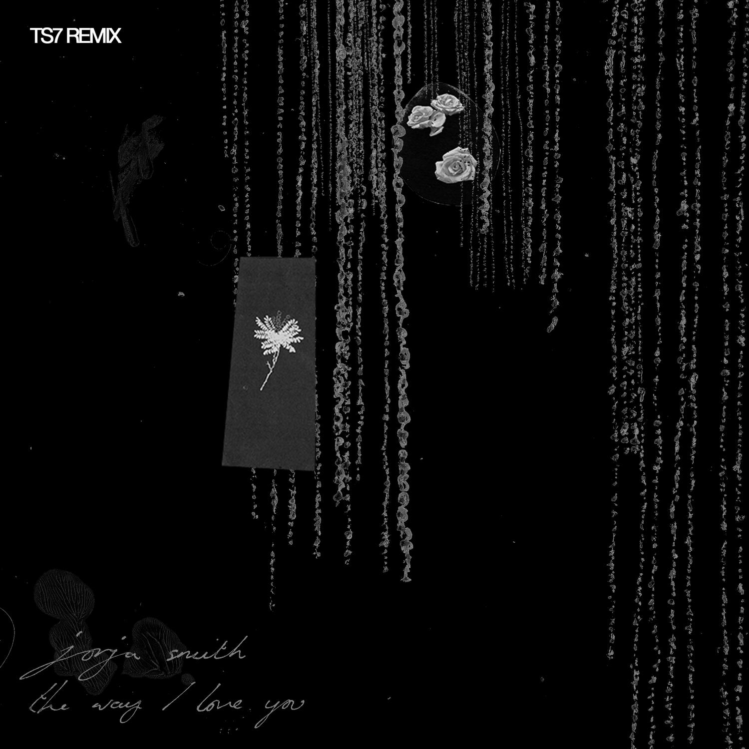 The Way I Love You (TS7 Remix)专辑