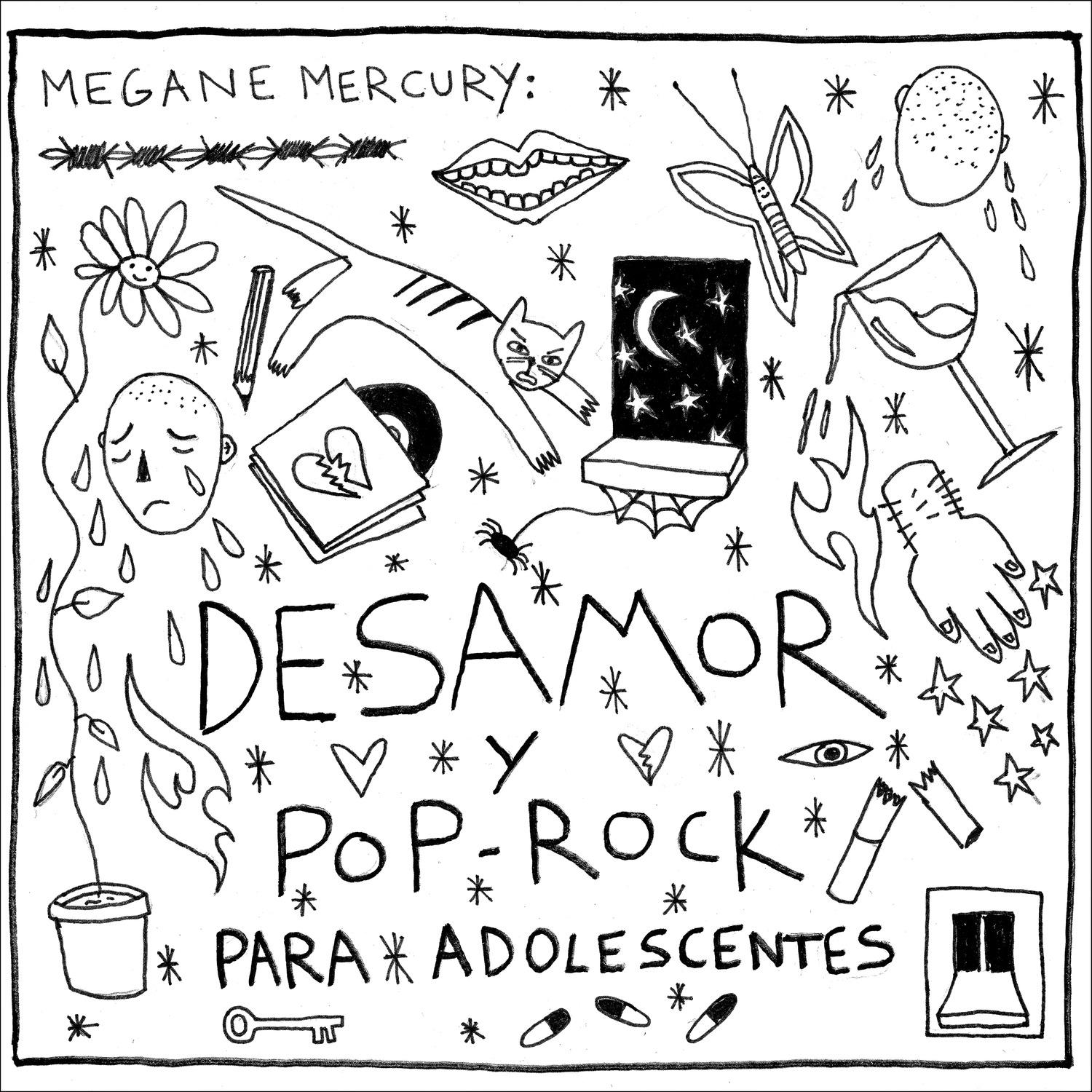 Megane Mercury - 31 de Enero