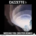 Missing You (Dexter Remix)专辑