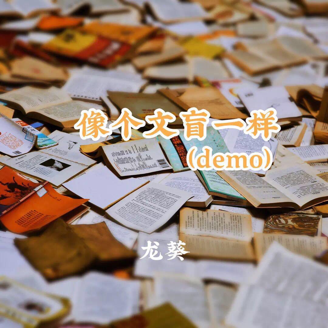 像个文盲一样专辑