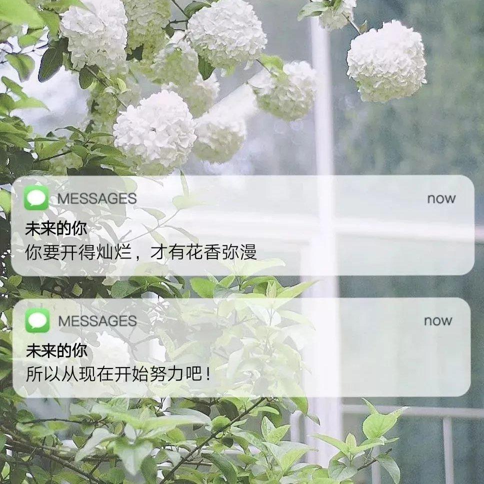 ‖纯音乐 study with me.