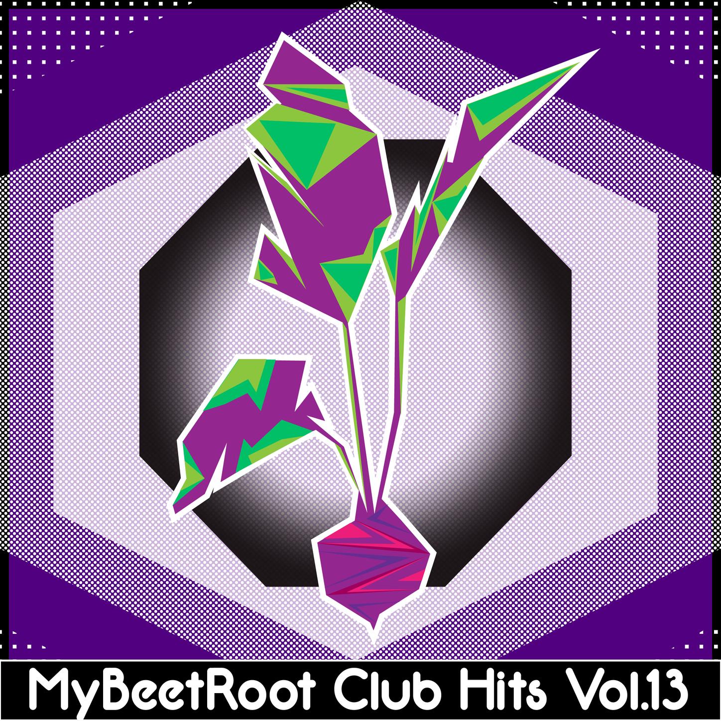 MyBeetRoots Club Hits, Vol. 13