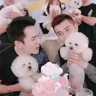 美one爱情故事（be中/未完待续）