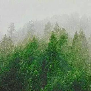 ❤️【助眠•学习】无配乐°纯自然声音
