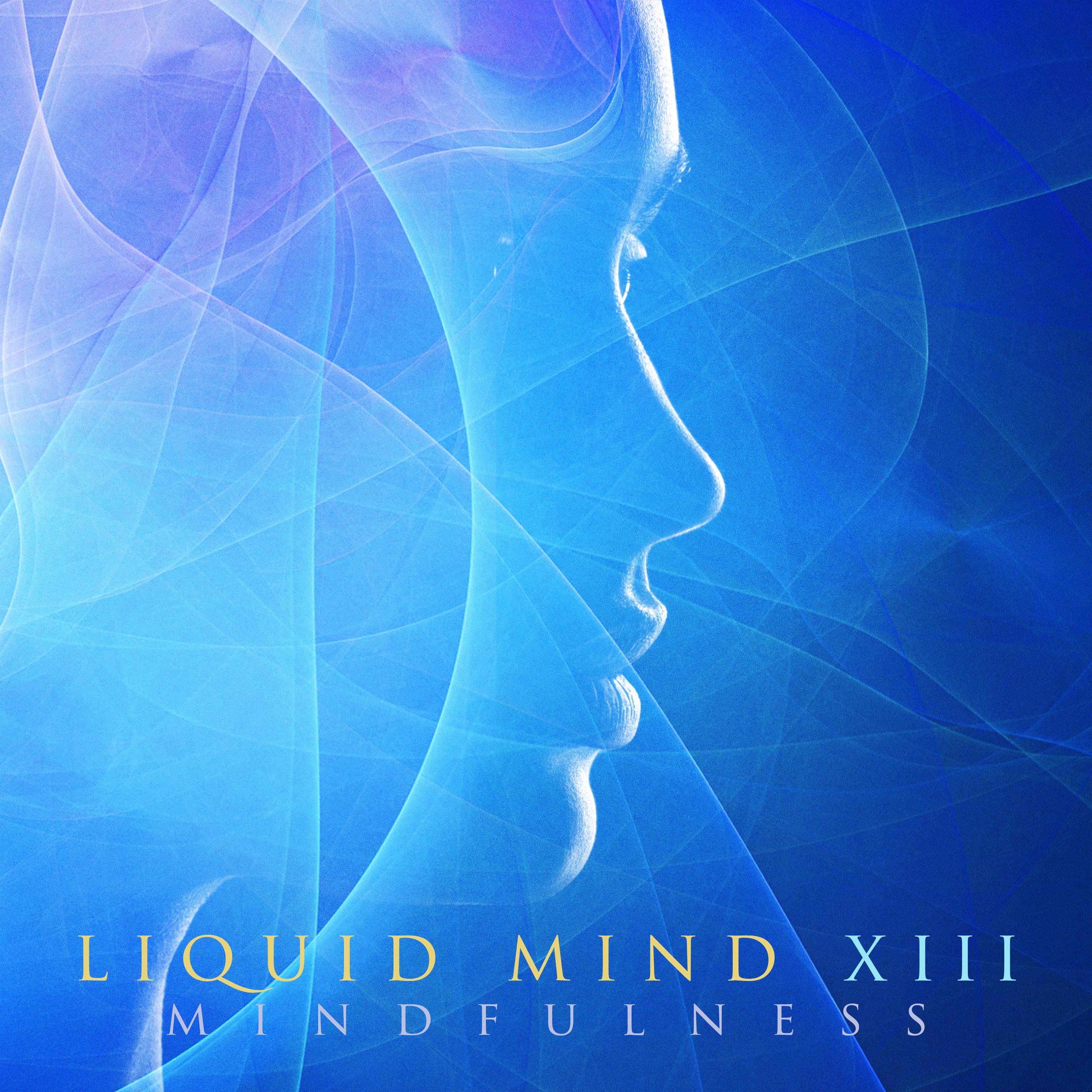 Liquid Mind collections