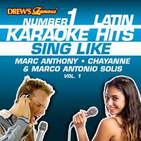 原版伴奏   Marco Antonio Solis - Como Fui A Enamorarme De Ti (karaoke)
