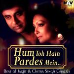 Hum To Hain Pardes Mein ( Best of Jagjit & Chitra Singh Ghazals )专辑