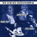 The Chicago Blues Festival